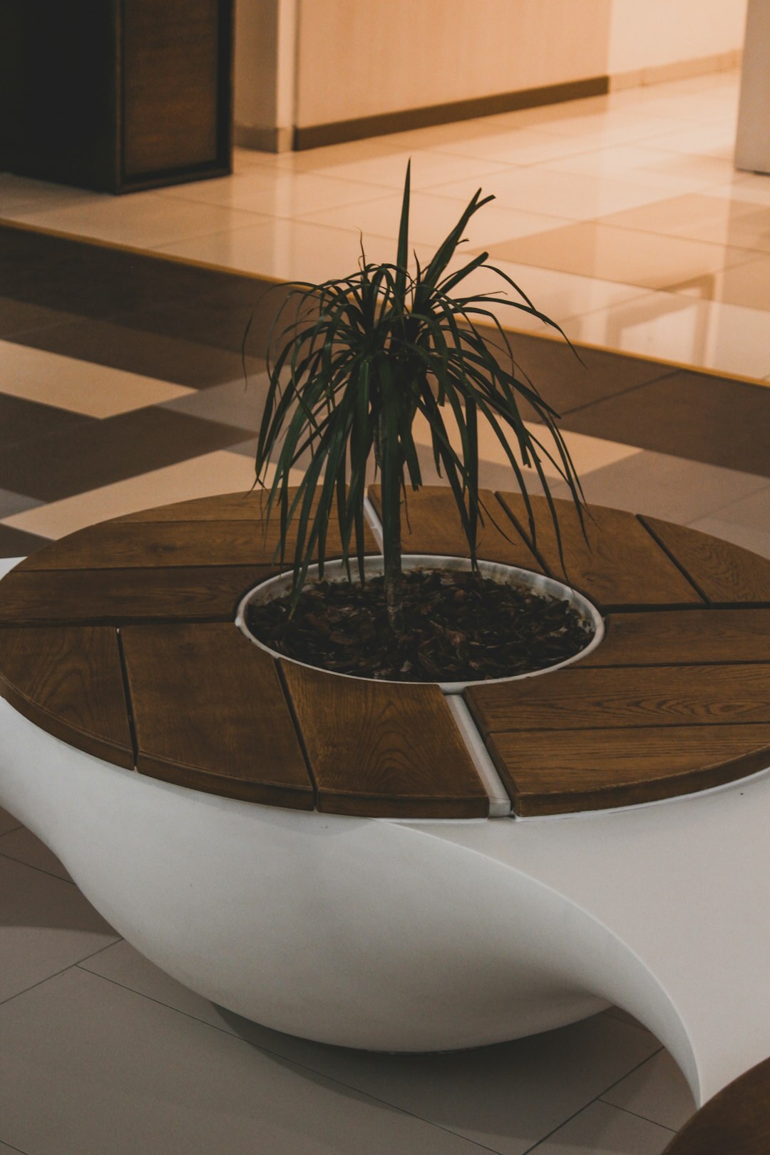 Modern office reception desk with plant decoration